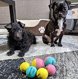 SPORTSPET Mini Bounce Dog Balls 4 Pack 45mm Premium Rubber Toys view 5