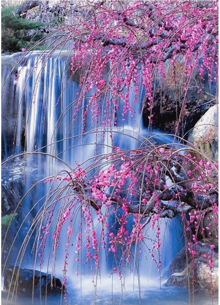 Amyline DIY 5D Diamond Painting by Number Kits Flower Tree and Waterfall Crystal Rhinestone Diamond Embroidery Paintings Pictures Arts Craft for Home Wall Decor