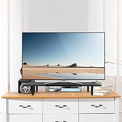LOTEYIKE Dual Monitor Stand for 2 Monitors, Large