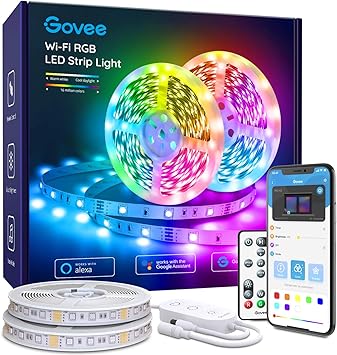 govee home google home