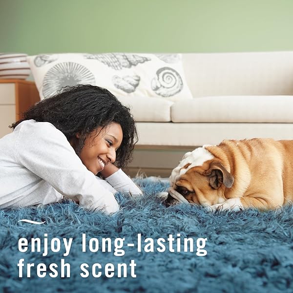 FEBREZE ODOR-FIGHTING FABRIC REFRESHER PET ODOR FIGHTER, 16.9OZ,