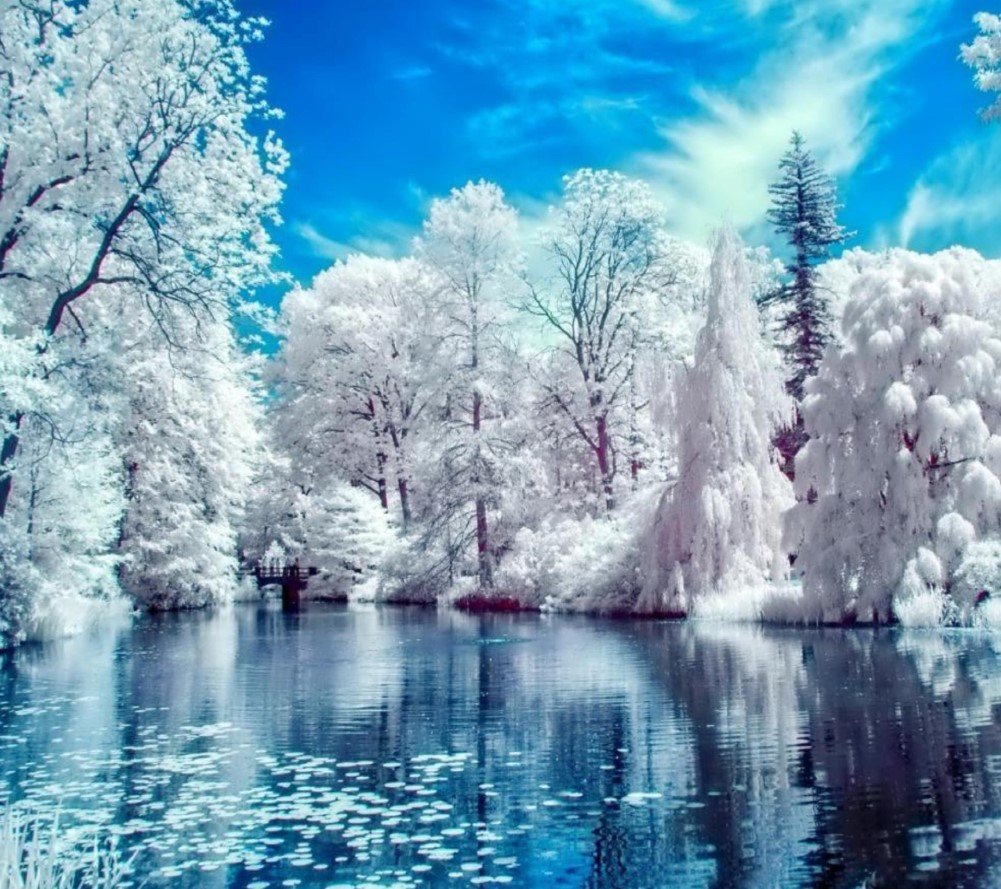 WOWDECOR Paint by Numbers Kits, Number Painting - Winter White Snow Lake Trees Landscape 16x20 inch (Frameless)