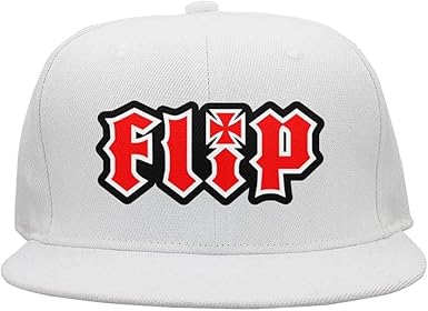 flip skateboards hat