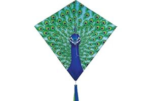 In the Breeze 30-inch Graphic Diamond Kites