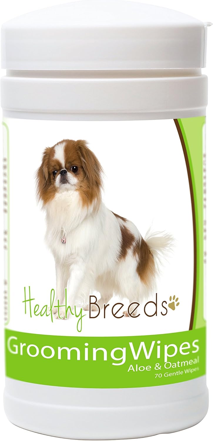hypoallergenic japanese dogs