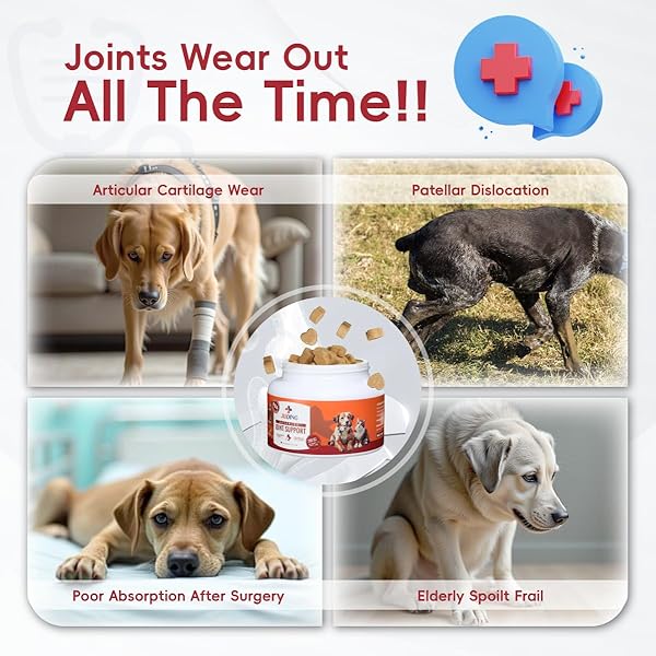 HIP AND JOINT SUPPLEMENT FOR DOGS – 200 CHEWS – CHICKEN FLAVORE – JOINT HEALTH, IMMUNE BOOST, AND VITAMIN SUPPORT FOR DOGS AND CATS OF ALL AGES