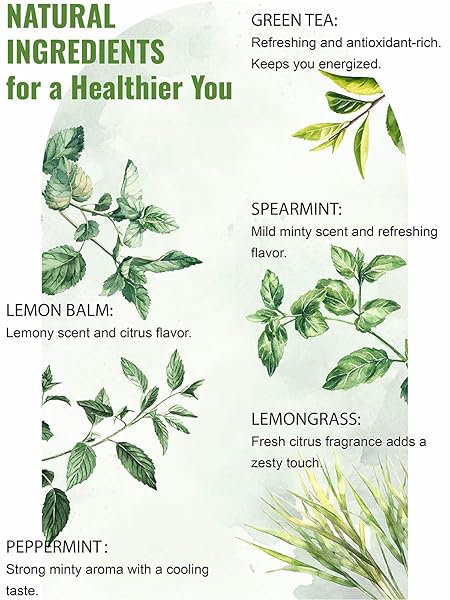 MINT GREEN TEA BAGS, CAFFEINATED, PREMIUM GREEN TEA BLEND WITH PEPPERMINT, SPEARMINT, LEMONGRASS & LEMON BALM FOR SOOTHING, INDIVIDUALLY WRAPPED BAGS, NO ARTIFICIAL SUGAR ADDED, 20 COUNTS