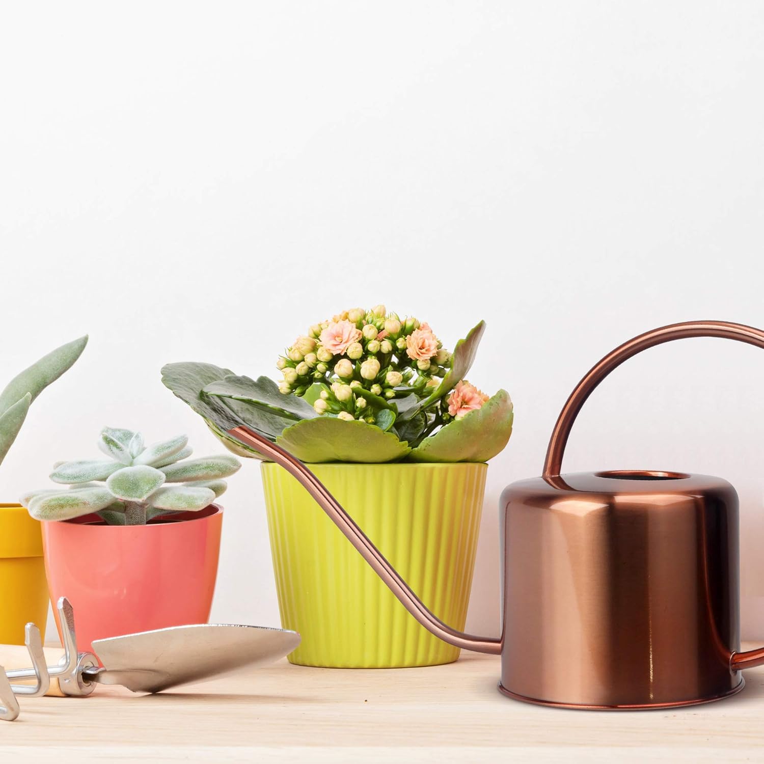 KIBAGA Decorative Copper Colored 40oz Watering Can - Easy Pour Gooseneck Spout for Fast and Easy Indoor Plant Watering : Garden & Outdoor