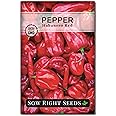 Sow Right Seeds - Habanero Red Pepper Seeds for Planting - Non-GMO Heirloom Packet with Instructions to Plant and Grow an Outdoor Home Vegetable Garden - Super Hot Chili - High Scoville Rating