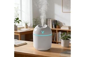 Portable Humidifier and Essential Oil Diffuser, 250ML 2-in-1 Cool Mist USB Aroma Diffuser, Small Quiet Air Humidifier for Bed