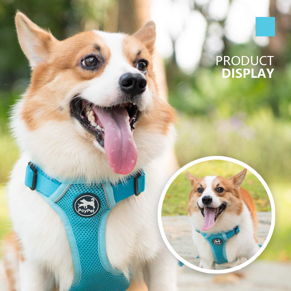 poypet dog harness