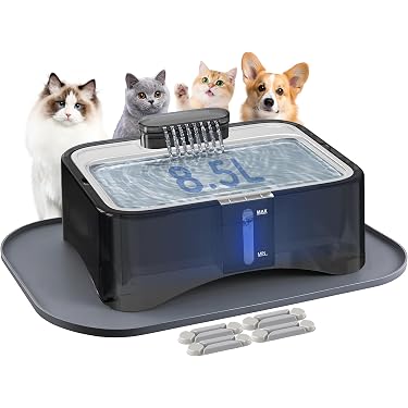 laser light cat toy Smart LED Laser for Cats
