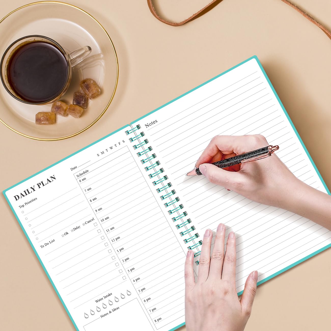 View 6