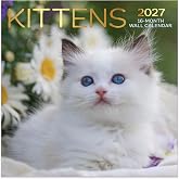 Designer Greetings Kittens Wall Calendar 2026-2027, 12 x 12 In | 16 Month Layout, 12 X 12 Inches, Spacious Writing Grids, Premium Paper, Nature Photography, Biblical Scriptures