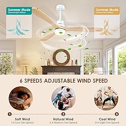 60" Outdoor Ceiling Fans with Lights and