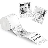 NIIMBOT Photo Papers Only for B21 Pro 300DPI Label Maker, Thermal Picture Labels Good Idea to Print Photos, Beauty Memories, Note,List (2.1''x2.6''-54x67mm)