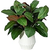 XONOR Artificial Magnolia Leaves Branches Fake Greenery Leaf Faux Magnolia Stems Leaves for Indoor Outdoor Vase Home Office Table Farmhouse Bathroom Decoration (6Pcs, 18'')