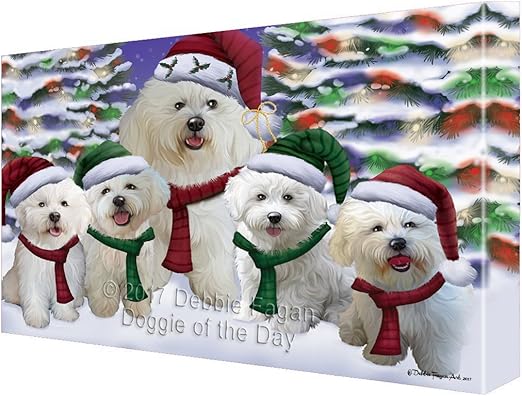 bichon christmas