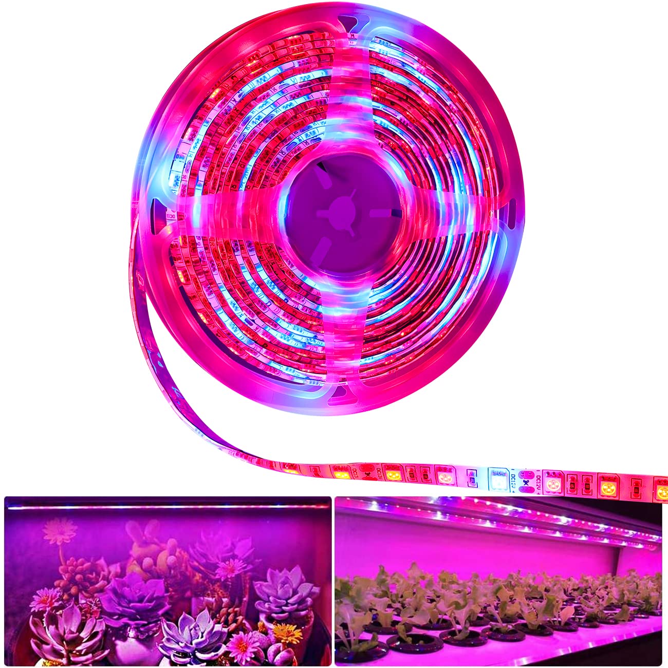 Tesfish LED Plant Grow Strip Light IP65 Waterproof Full Spectrum SMD 5050 Red Blue 5:1 Rope Light DC 12V for Aquarium Greenhouse Hydroponic Plant