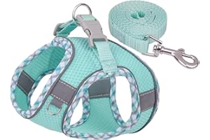Skyour Dog Harness for Small Medium Large Dogs No Pull, Puppy Harness and Leash Set, Easy Walk Dog Harness for Walking, Running, Training (Green, M（10-13 pounds）)