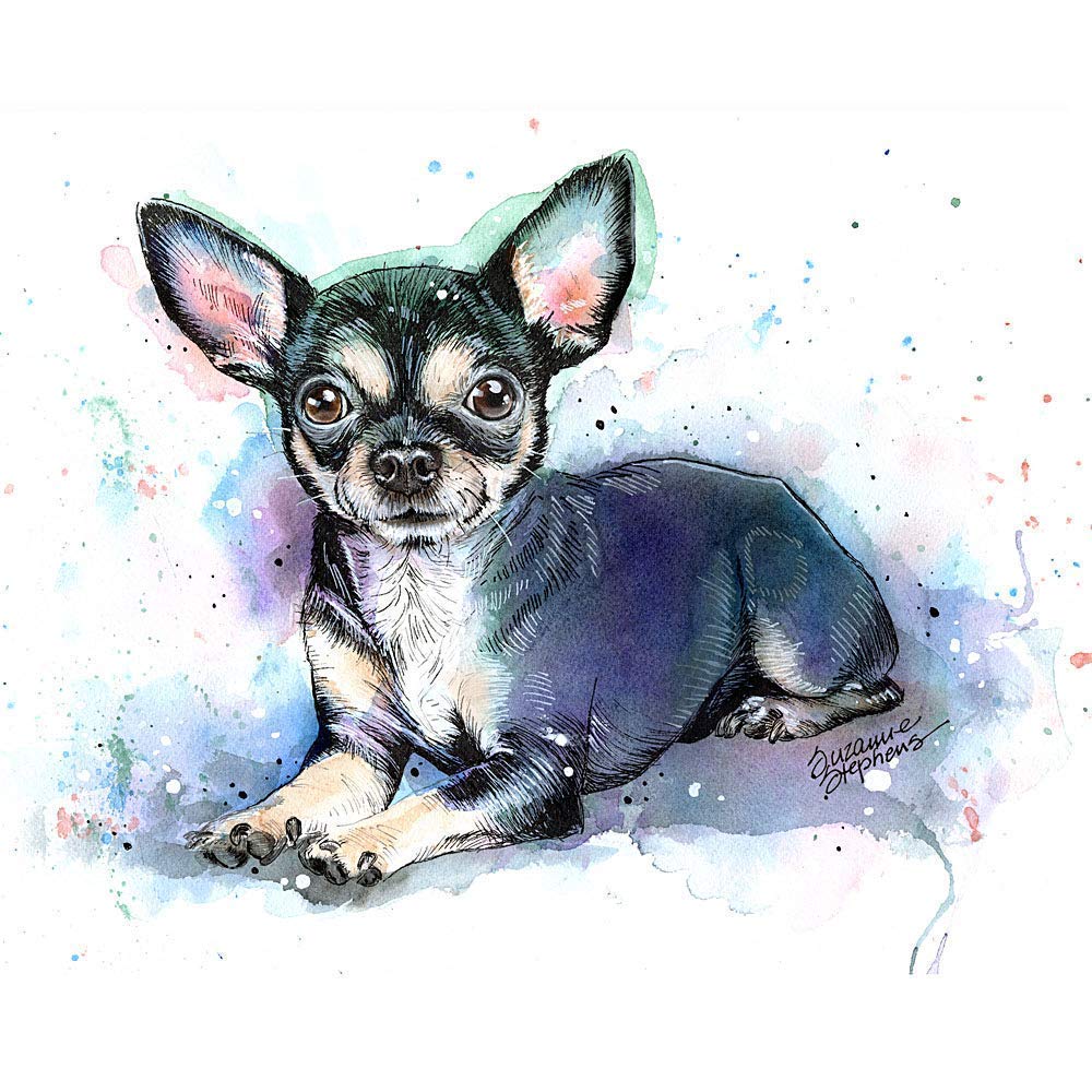 shelter dogs available near me