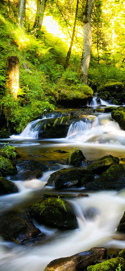 PeelitStickit, Beautiful Nature Wall Murals, ID-0776, vinyl