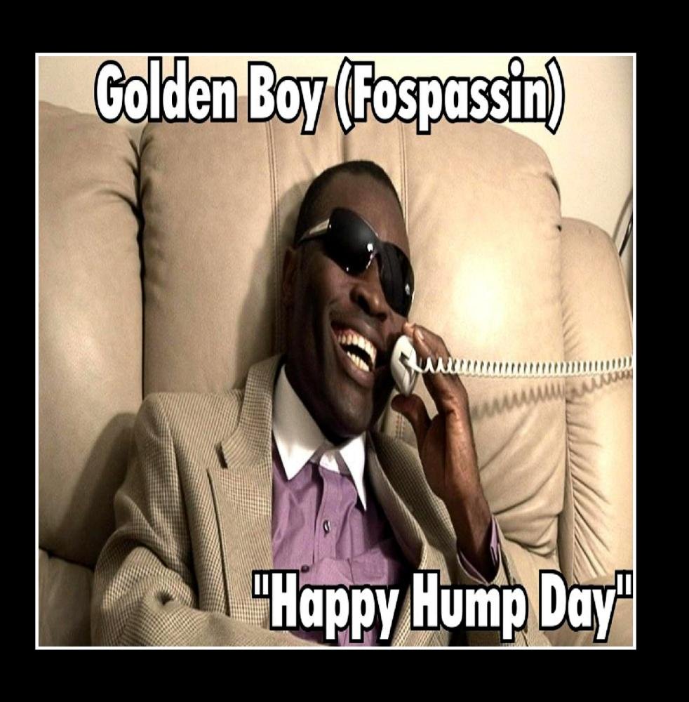 Get Golden Boy Fospassin Happy Hump Day Amazon Com Music For iPhone Get Wallpaper Golden Boy Fospassin Happy Hump Day Amazon Com Music Free HD