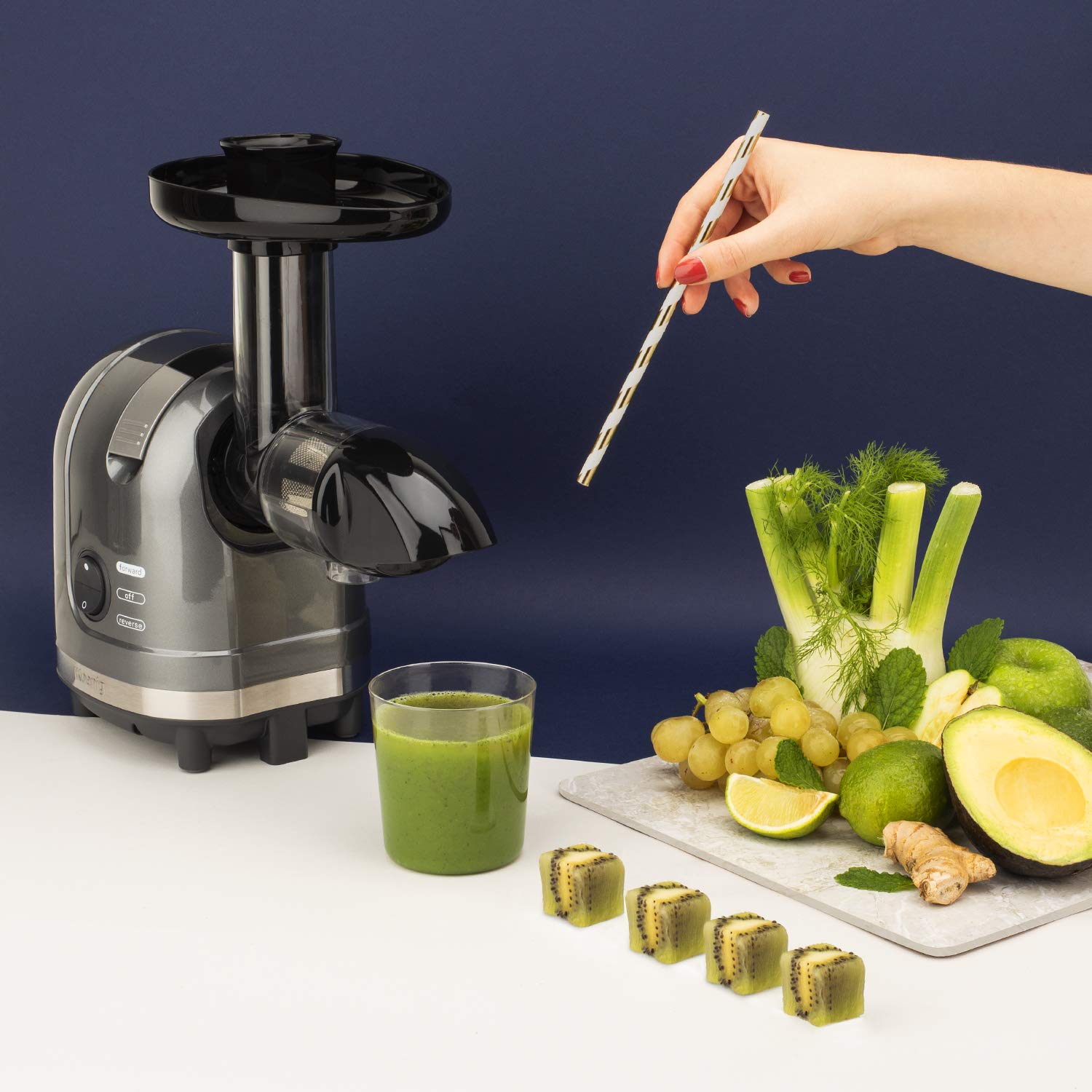 Pequeño electrodoméstico Exprimidores eléctricos delifoods-delivery.ch  H.Koenig HSX16 Licuadora para Frutas y Verduras de Prensado en Frío con Filtro  Extractor de Jugos 1.1 Litro Gris