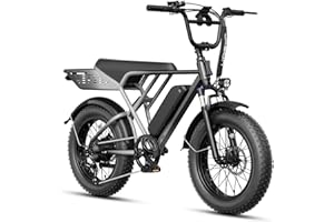 Jasion RetroVolt&Pro Electric Bike for Adults, 2000/3000W Peak - 30/38MPH Electric Mountain Bike, 48/52V, 13/20AH Removable B