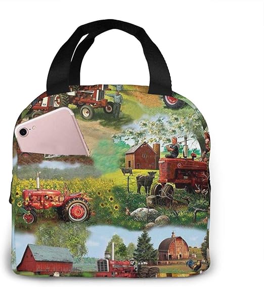 carriage bags for lunch