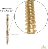 SEQUAL 100mm Concrete Screws Pack of 20 Torx Bit Included view 7