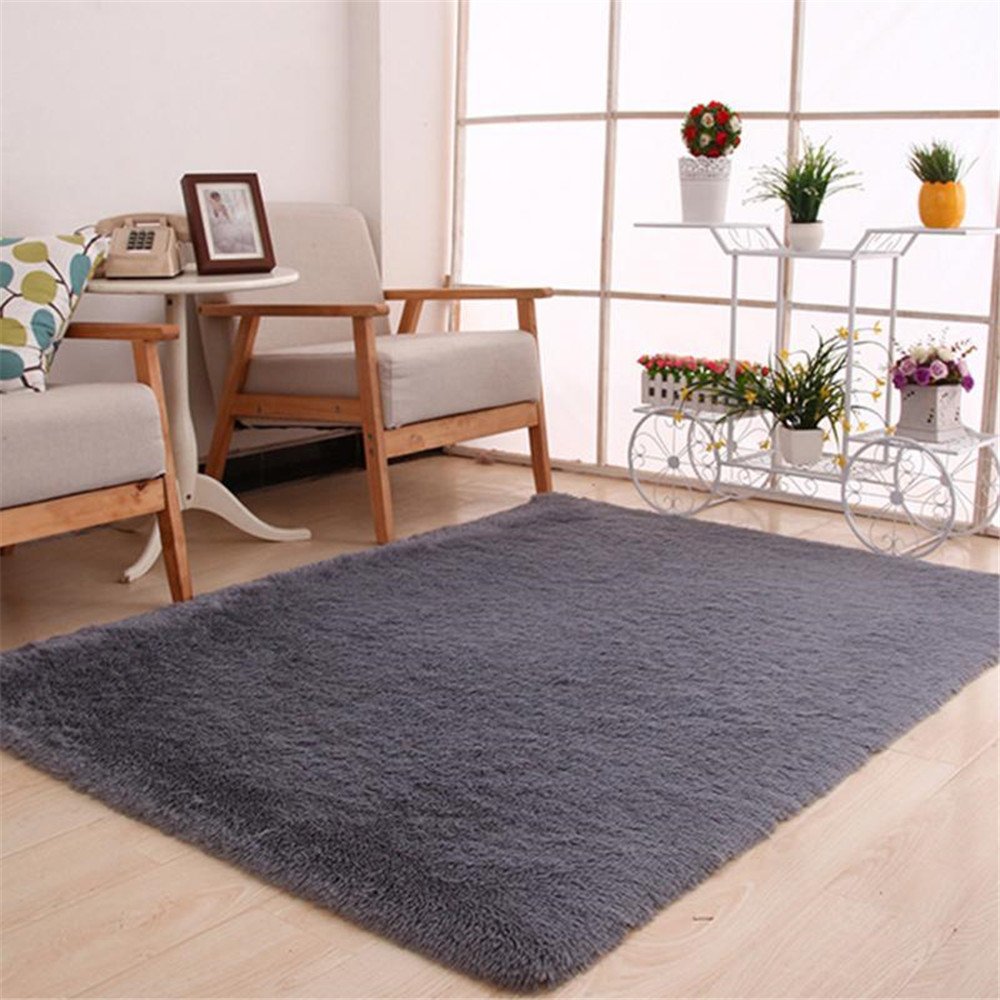 Amazon Com Thick Large Floor Carpets For Living Room Bedroom
