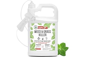 MIGHTY MINT Weed & Grass Killer – Natural Vinegar Weed Killer – for Organic Use – 1 Gallon - Glyphosate Free - OMRI - Shake Well