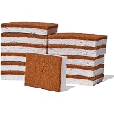 Public Goods Scrubber Sponge | Natural, Plant-Based Sponges | Pack of 12 | Cleaning &amp; Scrubbing Sponges for Dishes &amp; Kitchen Sink