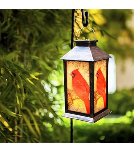 Aazon.co: 2Pack Solar Lanterns Outdoor Waterproof Huingbird Colorful Garden Gifts For O - View #11