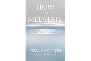 How to Meditate: A Practical Guide to Making Friends with Your Mind