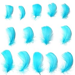 300pcs Turquoise Feathers 2-3 Inches Bulk Feathers