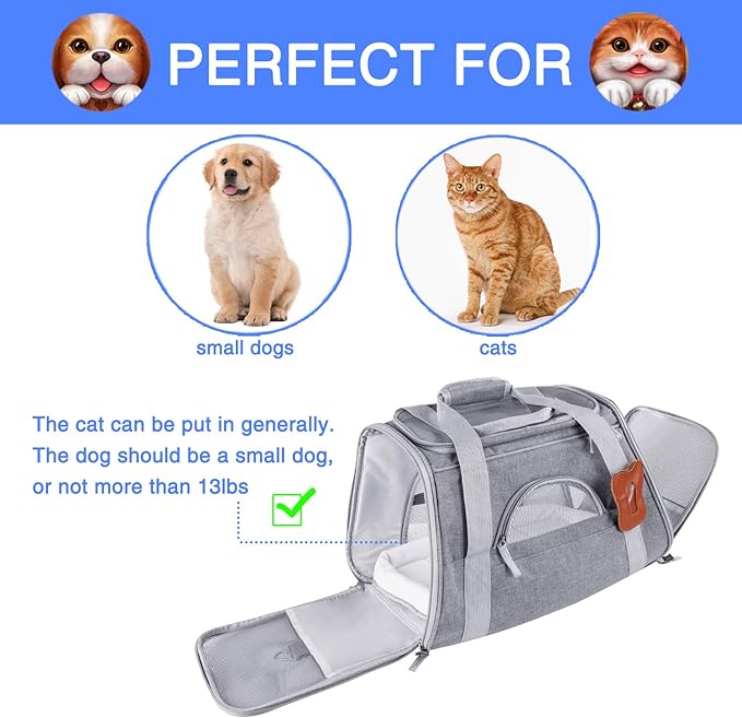 maximum size dog carry on