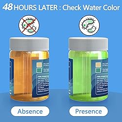Coliform Bacteria Water Test Kit: 4-Pack Water