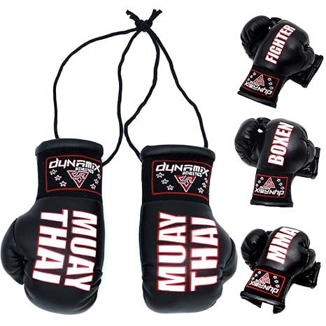Dynamix Athletics Autospiegel Mini Boxhandschuhe - Boxhandschuhe fürs Auto Spiegelanhänger Spiegel Aufhänger PKW Innenspiegel