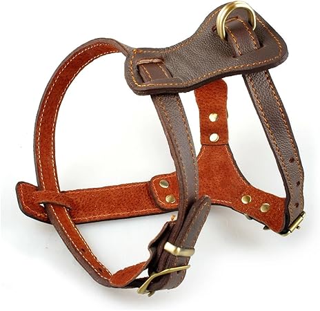 small dog harness amazon