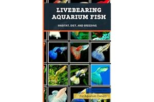Livebearing Aquarium Fish: Habitat, Diet, and Breeding
