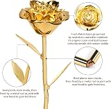 Ariceleo Gold Dipped Real 24K Gold Rose Gift for Women Romantic Birthday view 2