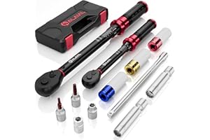 ALAIAL Torque Wrench 1/2 Drive & 3/8 Drive, 12Pcs Torque Wrench Set 10-170 ft.lb, 5-45 ft.lb with 8/10/17/19/21mm Sockets, 14/16mm Spark Plug Socket, 3/8 Extension Bar 250mm, T25/T40 Torx