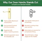 HANDLESTORE Victorian Scroll Lever Door Handles on Backplate Polished Brass Pair view 8