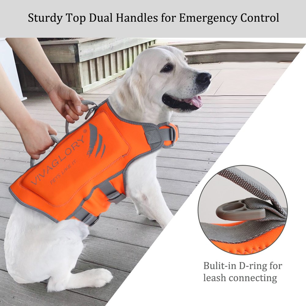 blaze orange neoprene dog vest