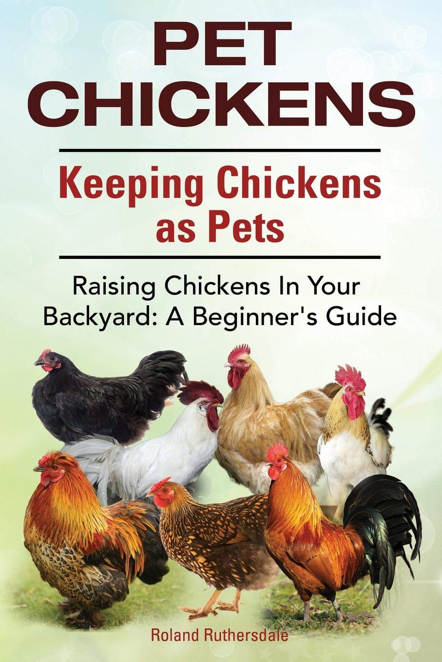 Buy Pet Chickens Keeping Chickens As Pets Raising Chickens In