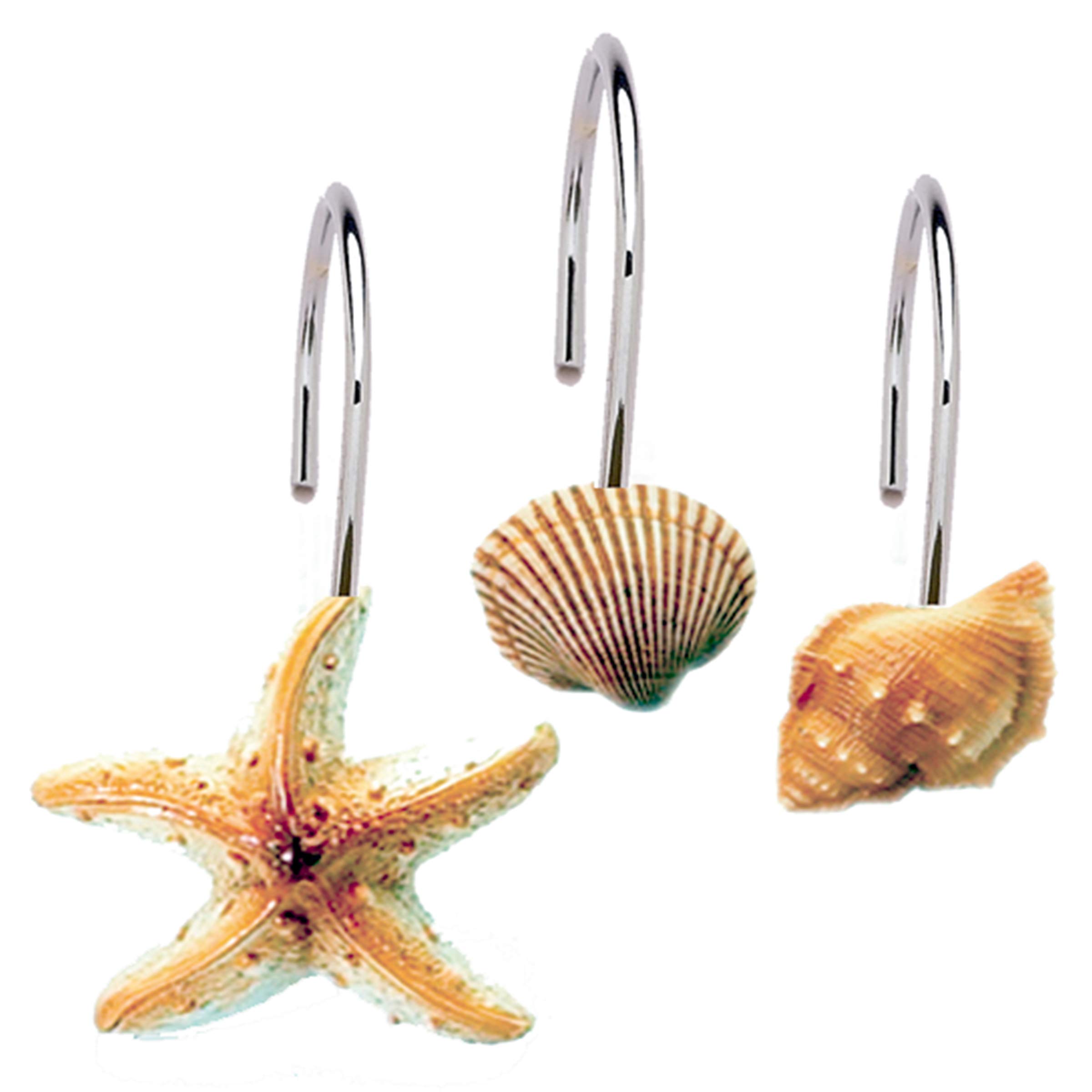 Carnation Home Fashions PHP-SCUBA Scuba Jewels Sea Shells and Star Fish Hand-Painted Resin Shower Curtain Hooks