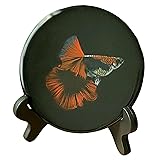 Hand-Painted Guppy Fish on Resin Decor Plate