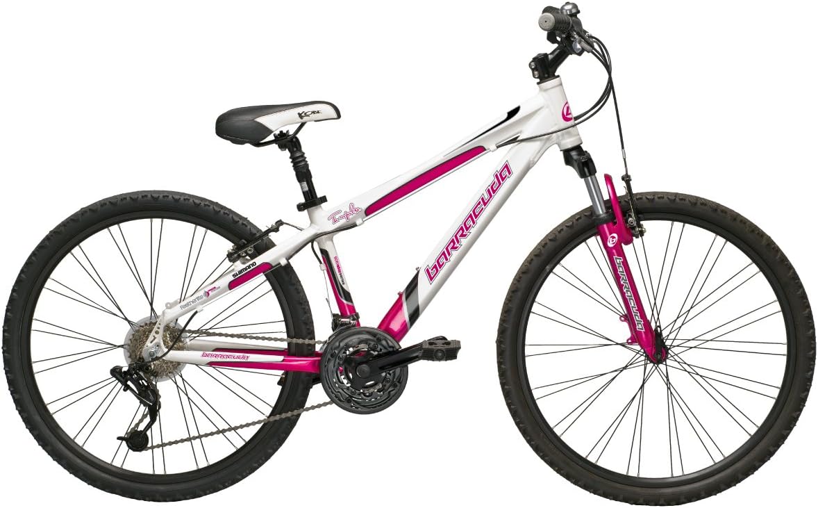 ladies 14 inch bike
